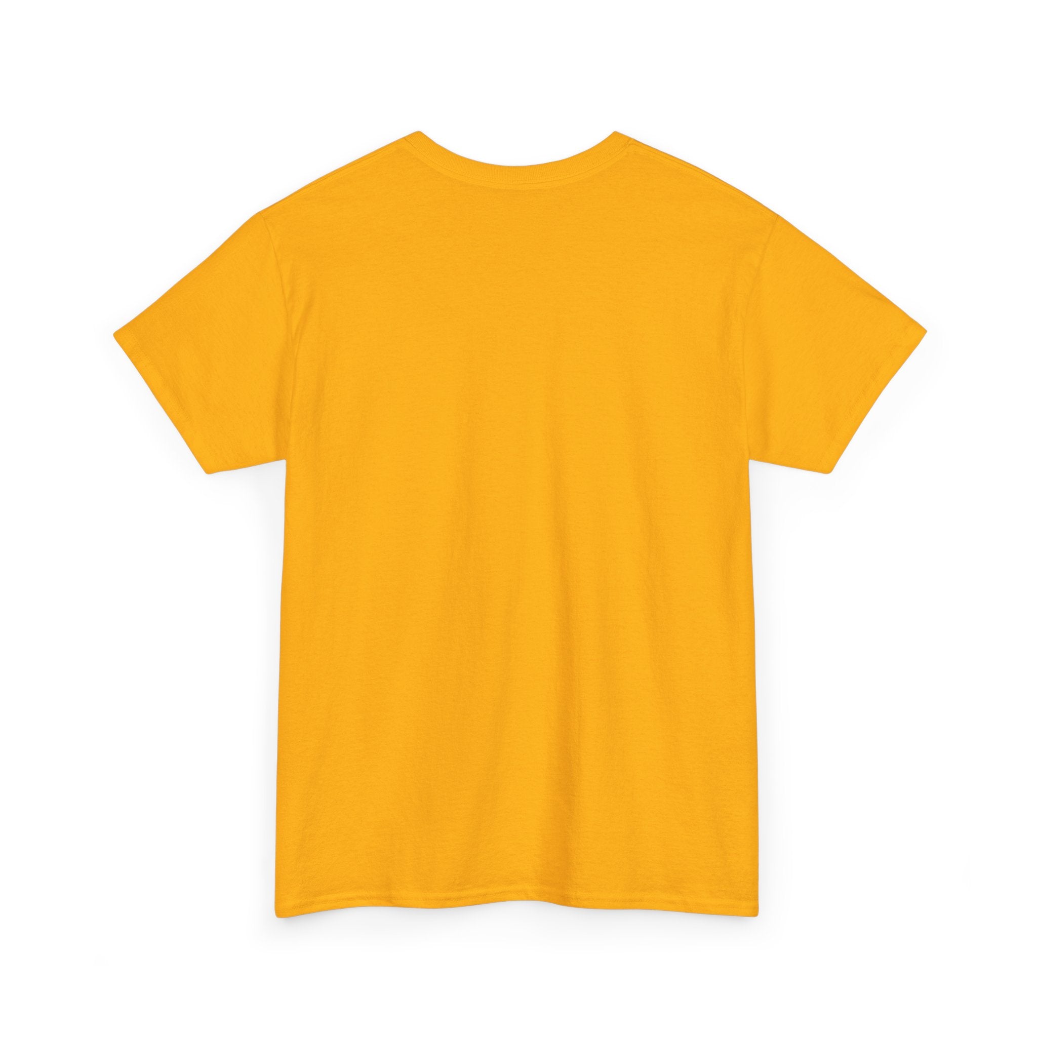 Stay Paw-sitive Dog Tee — Cute Pug Sunshine Graphic T-Shirt